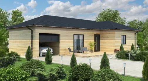 Constructii case de lemn