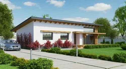 Constructii case de lemn