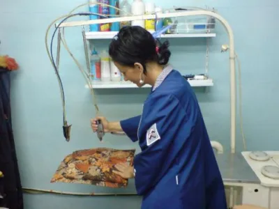 Curatatorie chimica ecologica Alba Iulia