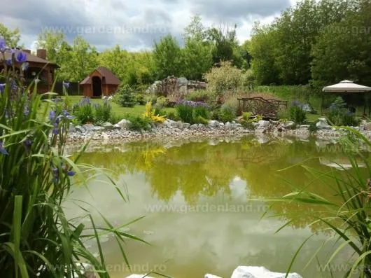 Aiud / Alba - Mobilier rustic din lemn