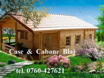 Case din lemn masiv - Blaj