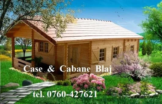 Case din lemn masiv - Blaj