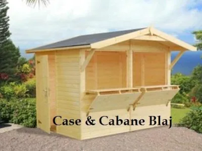 Case din lemn masiv - Blaj