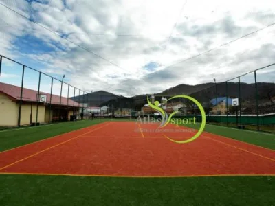 Targu Mures - Constructii sportive