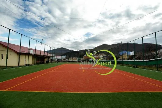 Targu Mures - Constructii sportive