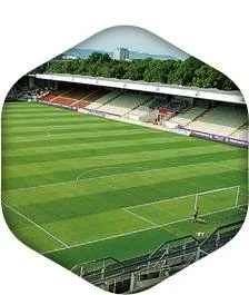 Targu Mures - Constructii sportive