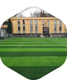 Targu Mures - Constructii sportive