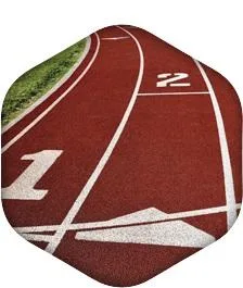 Targu Mures - Constructii sportive