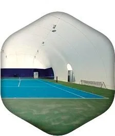Targu Mures - Constructii sportive