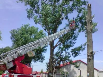 Dezinfectie - Dezinsectie Constanta