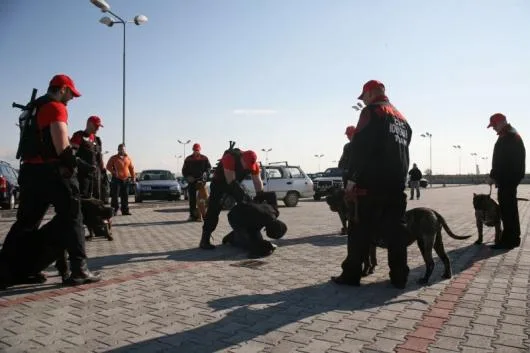 Elite Bodyguard Team paza si protectie Arad