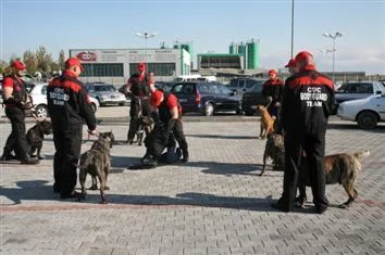 Elite Bodyguard Team paza si protectie Arad