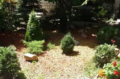 Timisoara - Amenajare si intretinere spatii verzi