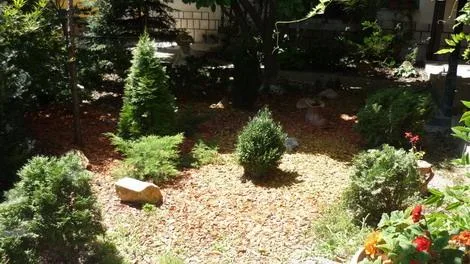 Timisoara - Amenajare si intretinere spatii verzi