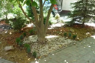 Timisoara - Amenajare si intretinere spatii verzi