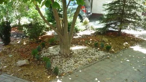 Timisoara - Amenajare si intretinere spatii verzi