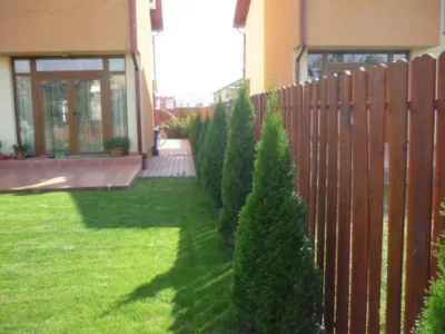 Timisoara - Amenajare si intretinere spatii verzi