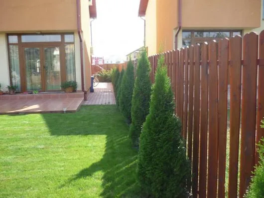 Timisoara - Amenajare si intretinere spatii verzi