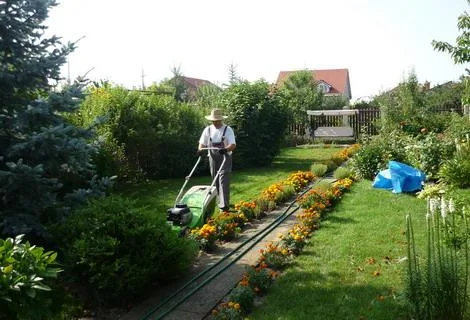 Timisoara - Amenajare si intretinere spatii verzi