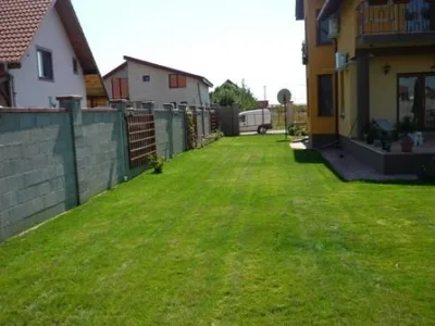 Timisoara - Amenajare si intretinere spatii verzi