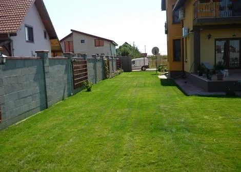 Timisoara - Amenajare si intretinere spatii verzi