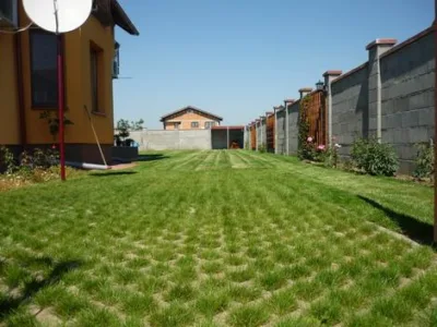 Timisoara - Amenajare si intretinere spatii verzi