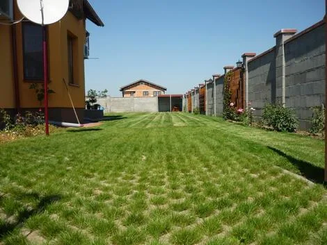 Timisoara - Amenajare si intretinere spatii verzi