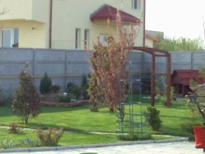Chiajna / Ilfov - Amenajare gradini