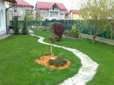 Chiajna / Ilfov - Amenajare gradini