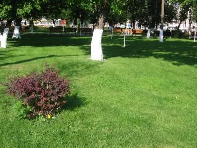 Chiajna / Ilfov - Amenajare gradini