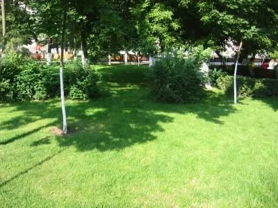 Chiajna / Ilfov - Amenajare gradini