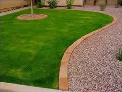 Tomesti / Iasi - Proiectare si constructii gradini