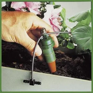 Tomesti / Iasi - Proiectare si constructii gradini