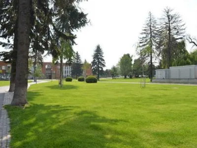 Sanpetru / Brasov - Seminte de gazon - gazon covor