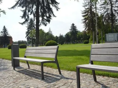 Sanpetru / Brasov - Seminte de gazon - gazon covor