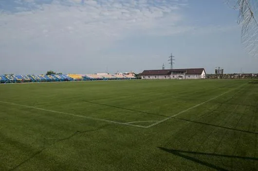 Sanpetru / Brasov - Seminte de gazon - gazon covor