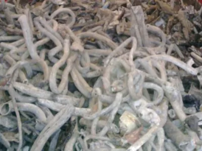 ANDEX IMPORT EXPORT colectare deseuri reciclabile pregatite sau nepregatite Bucuresti