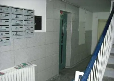 Spalatorie profesionala de covoare Mangalia