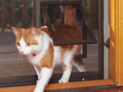 Producator rulouri exterioare si plase insecte - Cluj Napoca