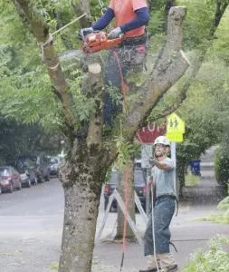Fisker Alpinisti Utilitari