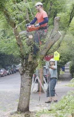 Fisker Alpinisti Utilitari