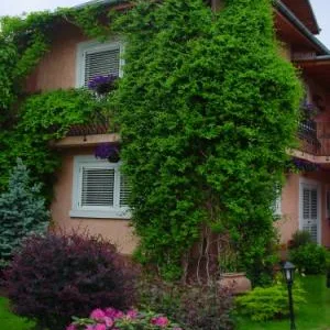 Bucuresti - Amenajare gradini si spatii verzi