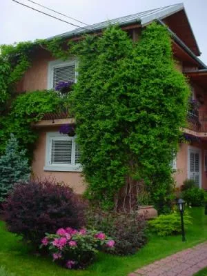 Bucuresti - Amenajare gradini si spatii verzi