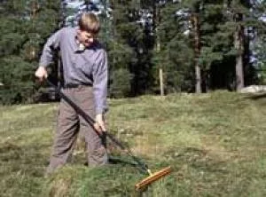 Bucuresti - Amenajare gradini si spatii verzi