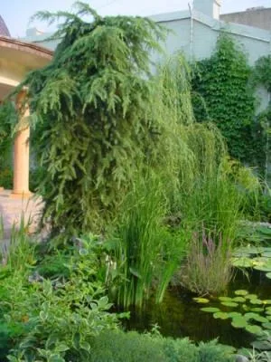 Bucuresti - Amenajare gradini si spatii verzi