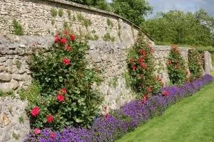 Bucuresti - Amenajare gradini si spatii verzi