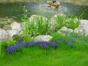 Bucuresti - Amenajare gradini si spatii verzi