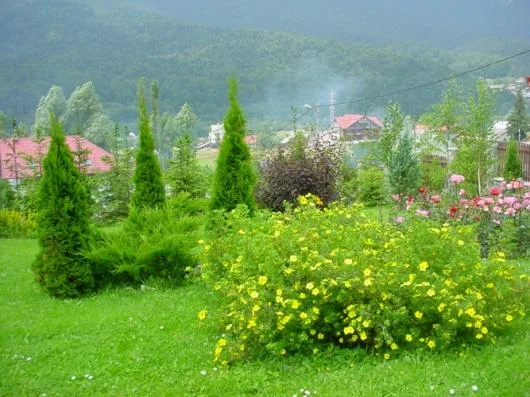 Bucuresti - Amenajare gradini si spatii verzi