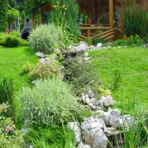 Bucuresti - Amenajare gradini si spatii verzi