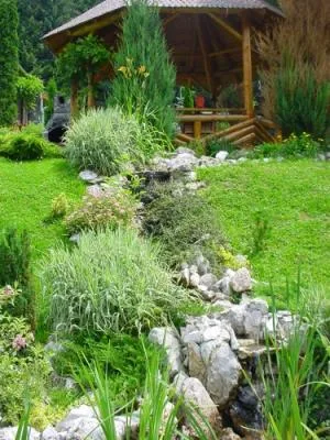 Bucuresti - Amenajare gradini si spatii verzi